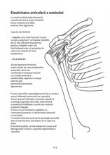 Încarcă imaginea în vizualizatorul Galerie, Anatomie pentru mi?care. Vol. II: Exerci?ii de baz? (edi?ia a II-a), Blandine Calais-Germain , Andr?e Lamotte
