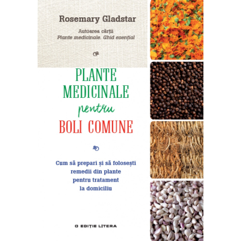 Plante medicinale pentru boli comune - Rosemary Gladstar